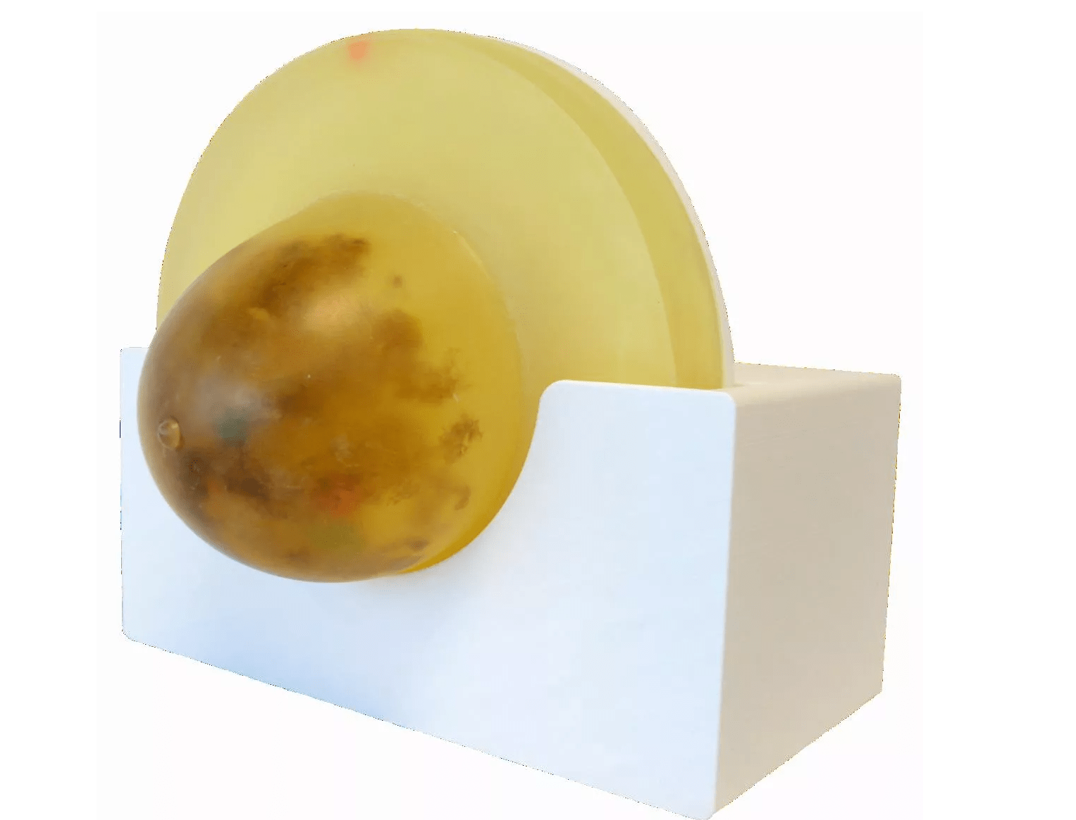 Komprimierbares Mammographie Phantom - Erler - Zimmer